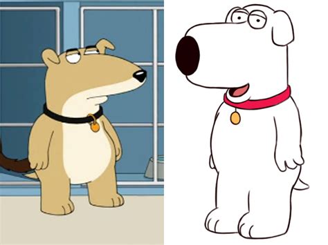 animal family guy|brian griffin personality.